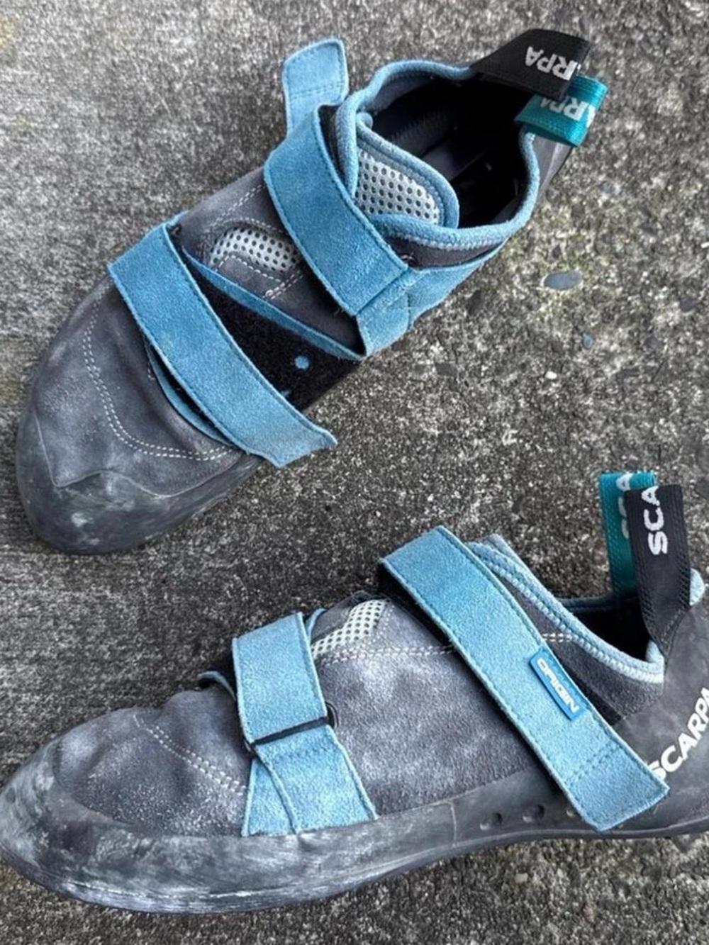 SCARPA ORIGIN Rock Climbing Shoes Men's EUR 43 US 10